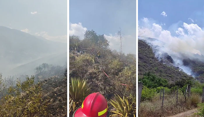 Sin agua, sin bombas contra incendios, bomberos enfrentaron voraz incendio forestal en Pachachaca